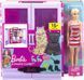ШАФА ДЛЯ ОДЕЖДЫ+ кукла Barbie HJL66