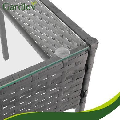 Садові меблі з ротангу темно-сірий Gardlov 26907